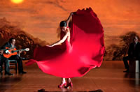 Flamenco, Flamenco (2010) 